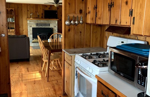Spruce Cottage | Cozy Hubbard Lake waterfront -beautiful views, private wooded lot, fireplace
