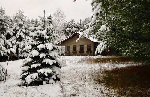 Webster Cottage | Cozy lil' Cottage is nestled in rolling hills and peaceful pines