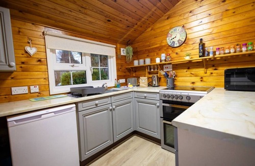 Ffestiniog Cabin | Cozy Log Cabin 346 - Rural Mid Wales