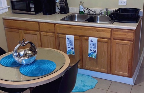 South Shore Apartment | Cozy Modern, 3BRS and 1BA. 5mins from Hyde Park tourist attractions