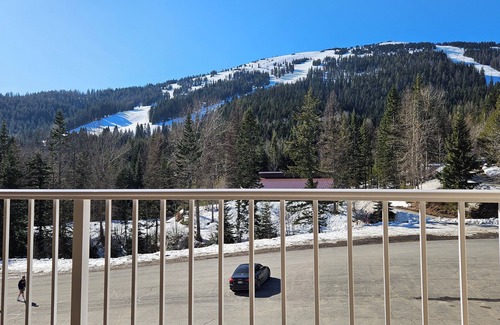 Mead Condo | Cozy Mount Spokane Condo w/Wi-Fi, access to Hot Tub, Pool and Sauna