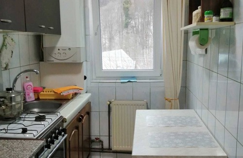 Azuga Apartment | Cozy mountain retreat close to great ski slopes, bike and hiking trails.