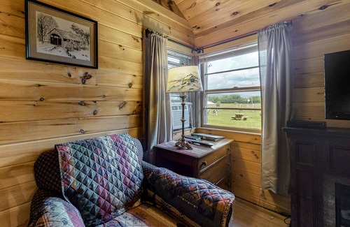 Thornton Apartment | Cozy, mountain-view cabin with fireplace, firepit, porch, WiFi & pool