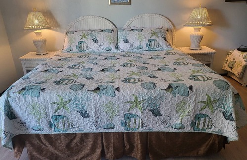 Cedar Key Condo | Cozy newly renovated 1-bedroom condo with AC, WiFi in superb Cedar Key