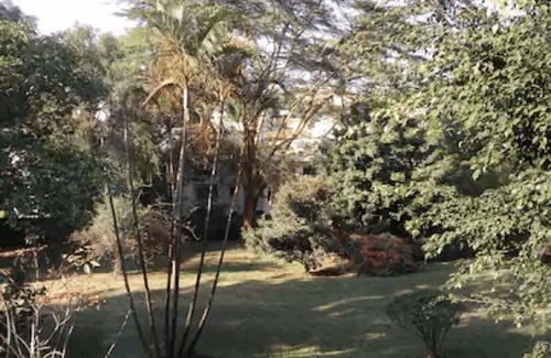 Thompson Estate House | cozy quiet 1br with garden view