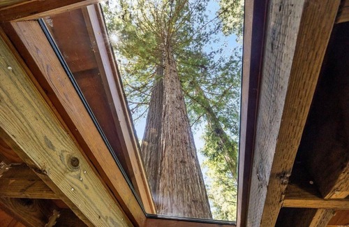 Monte Rio House | Cozy redwood getaway, pet-friendly, walk to town