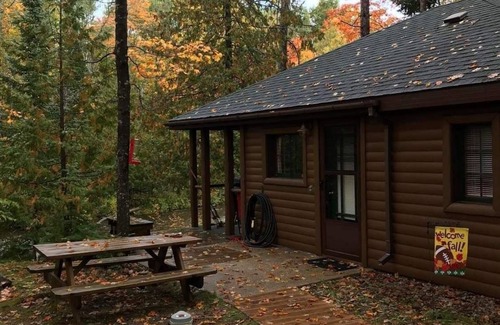 Ellis Township Cabin | Cozy river cabin, steps away from blue ribbon fishing hiking trails.