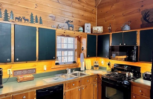 Blairsville Cabin | Cozy Romantic Cabin for 2 - Private Hot tub, gas fireplace, wooded, king log bed