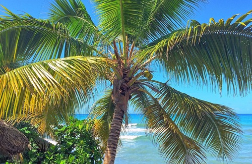 Cotterelle Cottage | Cozy Room at the Ocean (Rm 2)