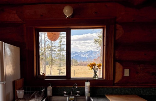 Division No. 14 Cabin | Cozy rustic cabin only 45 minutes from Jasper! Pet friendly.