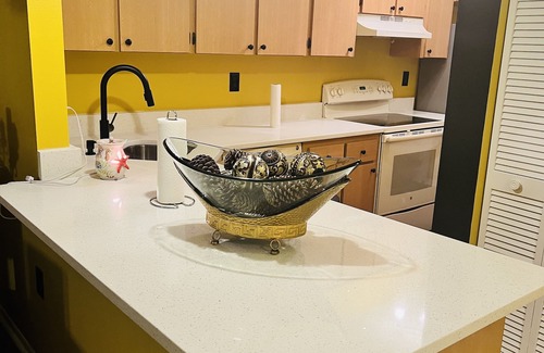 Spring Hill Apartment | Cozy & Spacious 2 beds/2 baths, Washer/Dryer, Free Parking, Spring Hill, FL