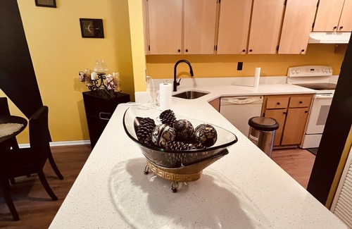 Spring Hill Apartment | Cozy & Spacious 2 beds/2 baths, Washer/Dryer, Free Parking, Spring Hill, FL
