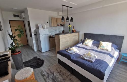 Doboj Apartment | Cozy studio Cik-Cak