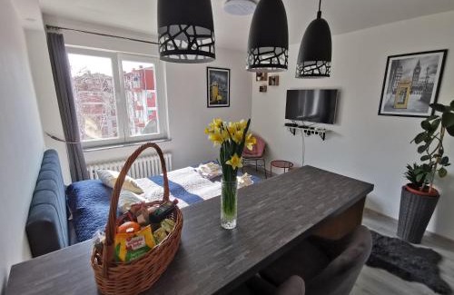 Doboj Apartment | Cozy studio Cik-Cak