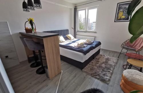 Doboj Apartment | Cozy studio Cik-Cak