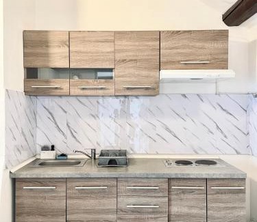 Nusle Apartment | Cozy studio near city