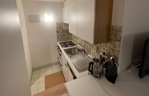 Chatel-Saint-Denis Apartment | Cozy Swiss Mountain 1 BDRM Apartment - 10 minutes from Lake Geneva