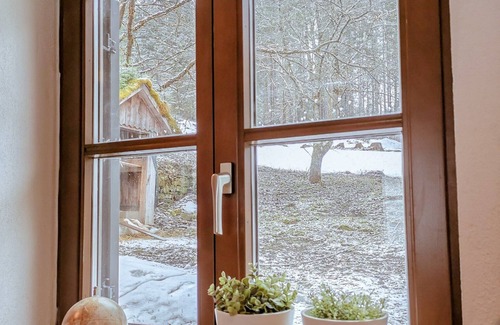Radmer Cabin | Cozy Tiny House only 20 mins from Gesäuse!