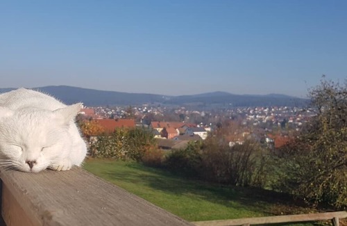 Neunburg vorm Wald Apartment | Cozy vacation apartment (60sqm) for families with children