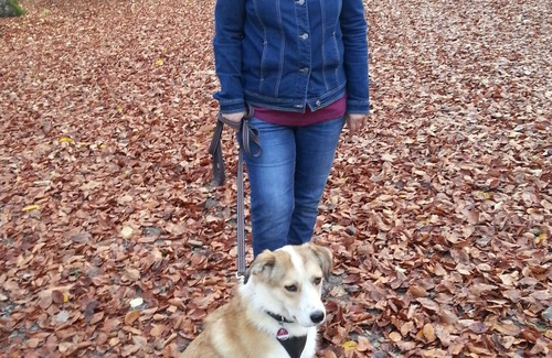 Neßmersiel House | Cozy vacation home near the dike, four-legged friends welcome