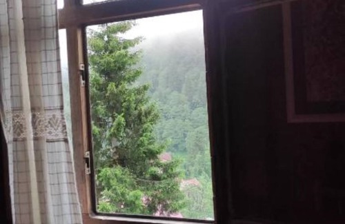 Ayder Yaylasi Villa | Cozy villa in enjoyable Rize with WiFi