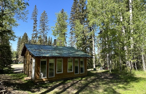 Buck Lake Cabin | Cozy year round cabin in the woods, walking distance to the lake