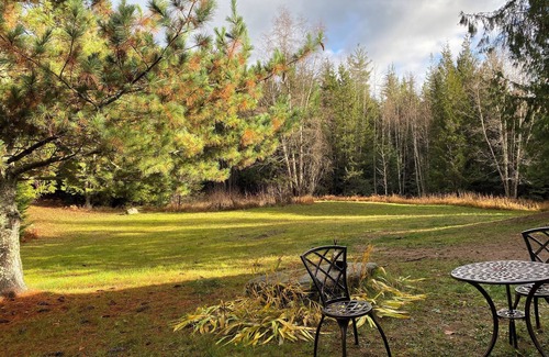 Boundary County Cabin | Cozy yurt nestled in a private forest