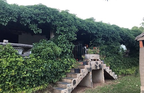 Canamero House | CR Yerbabuena, Independent Patio