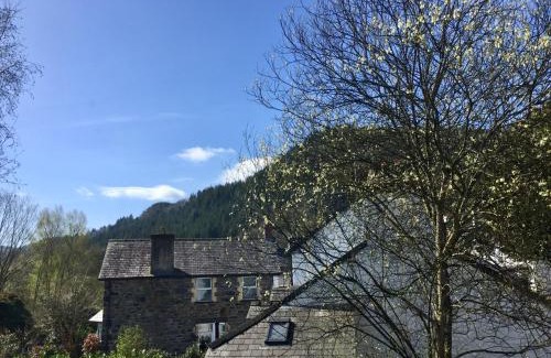 Trefriw Bed & Breakfast | Crafnant House - Bed & Breakfast