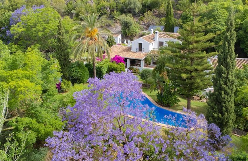 Coin Villa | Cubo's Villa Las Lagunas de Azahar/free wifi/high privacy/private pool