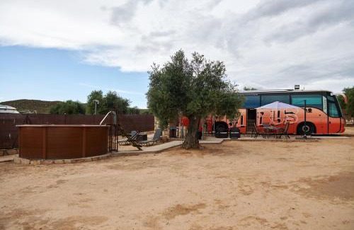 Chinchon Other | cuchibus