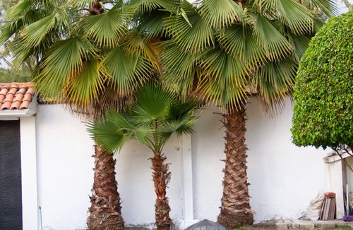 Lomas de Trujillo House | Cuernavaca, holiday villa for large families
