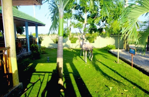 Kigamboni House | Cultural Kigamboni suite