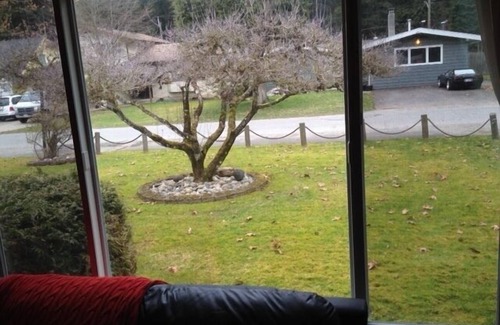 Cultus Lake House | Cultus Lake Paradise In the Park, Large and big backyard with a large fire pit!