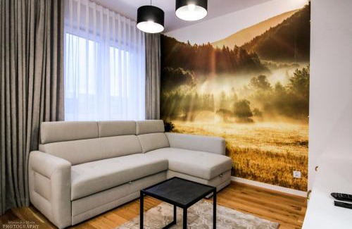 Bialystok Apartment | D Apartments Centrum Powietrze
