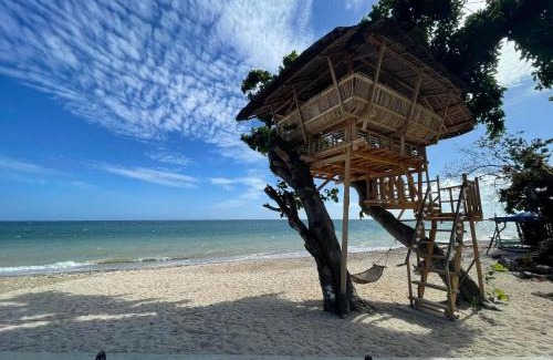 Puerto Princesa Resort | D' Beach Resort