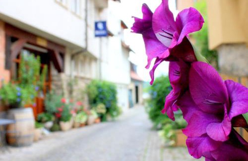 Besigheim House | D & S Hotel & Ferienwohnungen