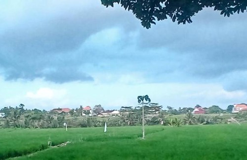 Lodtunduh House | D' Tegal House