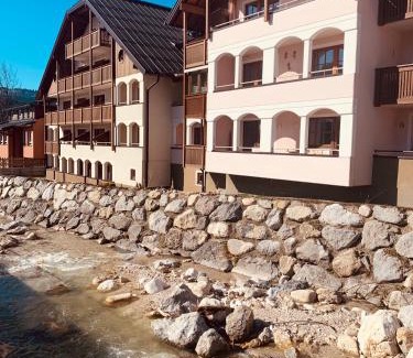 Russbach am Pass Gschuett Apartment | Dachstein