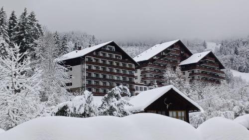 Bad Goisern Apartment | dachstein view