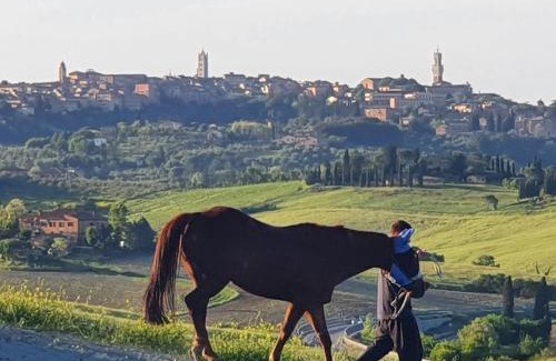 Siena Bed & Breakfast | DAGO Farmhouse