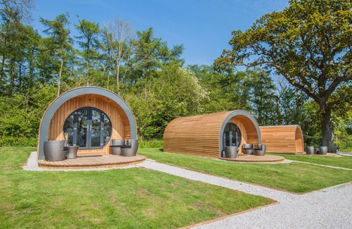 Pickering Cabin | Daisy Family Glamping Pod | sleeps 4 - Gold Award winning