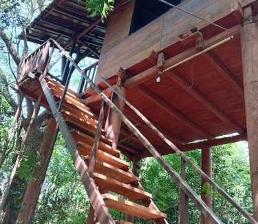 Dambulla Cabin | Dambulla Tree House