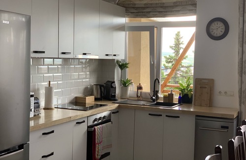 Cluj-Napoca House | Dana House in Central Cluj