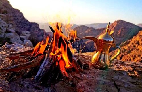 Dana Other | Dana Rose camp outdoor camping