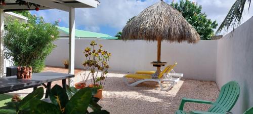 Cunucu Abao Apartment | Dancing Iguanas