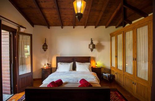 Amfikleia-Elateia House | Dandy Villas Amfiklia - Guest House Dafne - Garden