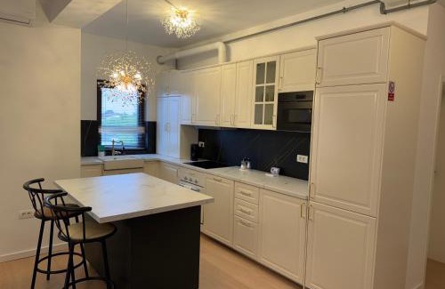 Dumbravita Apartment | DanyMosnita