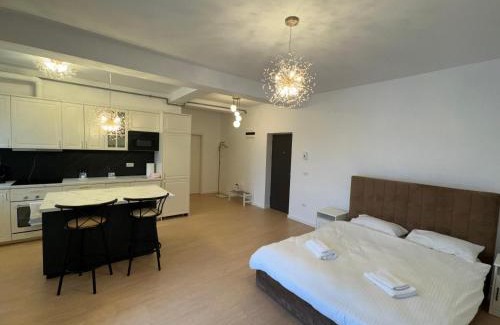 Dumbravita Apartment | DanyMosnita