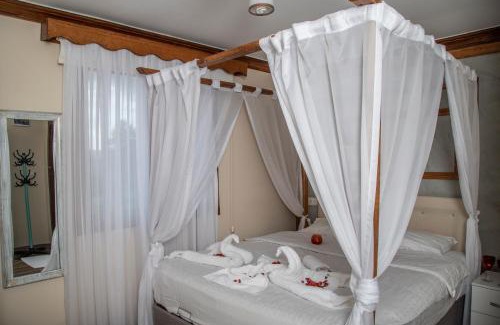 Ardanuc Resort | Danzot Tatil Köyü ve Restoran
